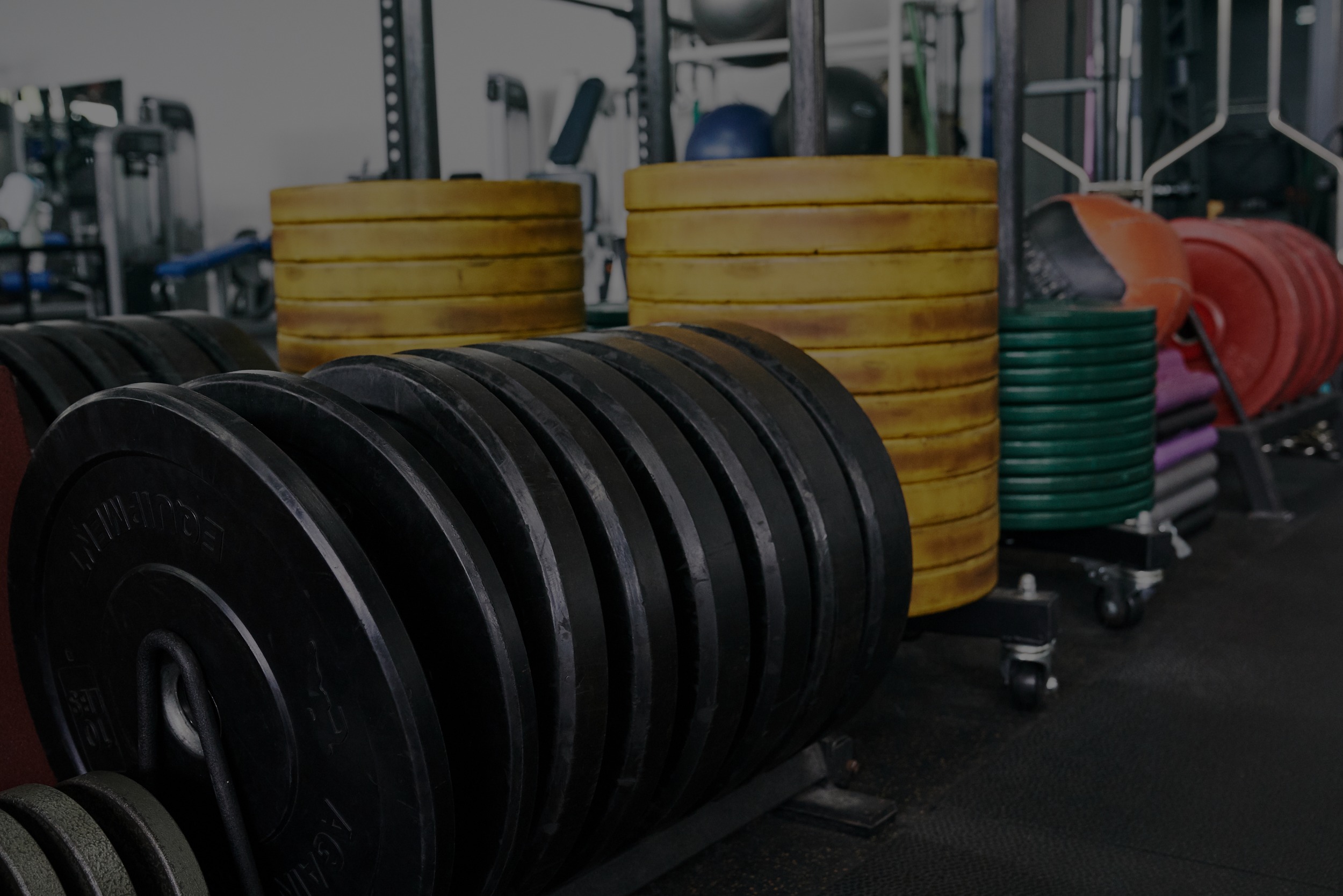 weight training, powerlifting, weight lifting trainors